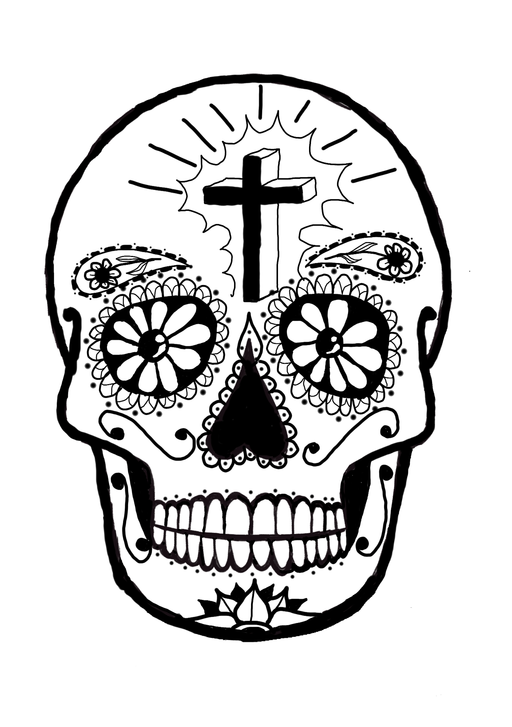 Crew-caracha